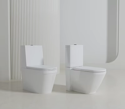 Two Modern White Toilets In Minimalist Bathroom Interior With Clean Lines 3d model