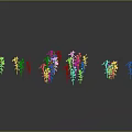 Colorful Flowering Plants With Green Leaves Arranged Neatly On Gray Background With Reflections