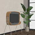Stylish Wooden Frame TV In Modern Living Room With Green Indoor Plant