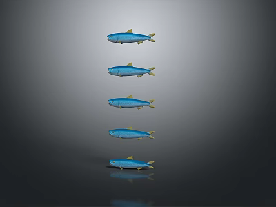Five Blue Fish in Vertical Arrangement Against Gray Background With Reflection 3d model