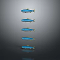 Five Blue Fish in Vertical Arrangement Against Gray Background With Reflection