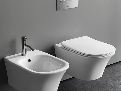 Modern White Wall Mounted Toilet With Bidet And Gray Bathroom Interior 3d model