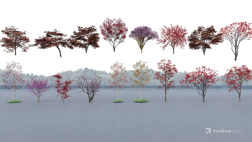 Colorful Arbor Trees With Various Leaf Colors And Diverse Species 3d model 