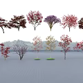Colorful Arbor Trees With Various Leaf Colors And Diverse Species