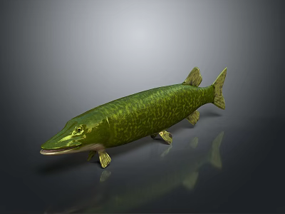 Realistic Green Pike Fish 3D Model With Lifelike Texture And Shiny Surface 3d model