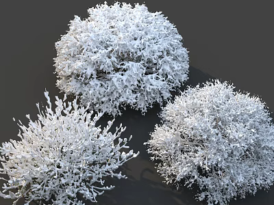 Snow Covered Bushes in Winter Outdoor Scene With Frosty White Foliage 3d model
