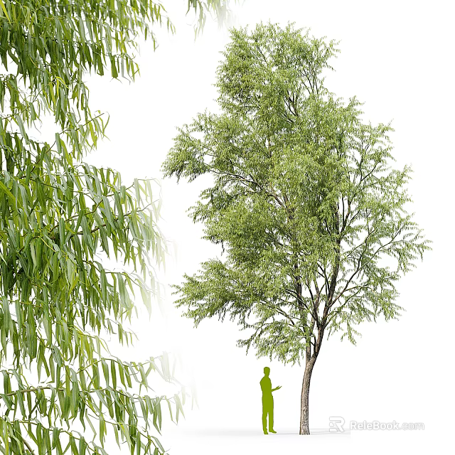 Tall Leafy Arbor With Green Leaves Willow Branches And Human Silhouette 3d model 