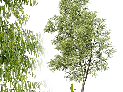 Tall Leafy Arbor With Green Leaves Willow Branches And Human Silhouette 3d model
