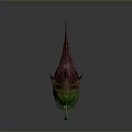 Deep Sea Anglerfish With Green Body Red Fins Glowing Lure And Sharp Teeth