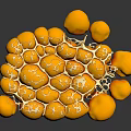 3D Rendered Organ Tissue Structure With Yellow Spheres And Honeycomb Like Design On Dark Background