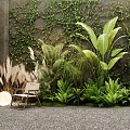 Lush Greenery With Ivy Covered Wall Leafy Plants Ferns And Pampas Grass On Gravel Ground