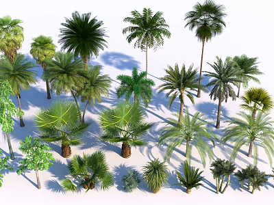 Different Arbor Tree Varieties with Tropical Palms and Green Foliage for Garden Landscaping 3d model