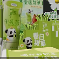 Vibrant Garden Landscape with Panda Figures Flowers Green Plants and Spring Barbecue
