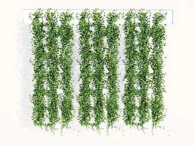 Modern vine plant combination green plant wall climbing plant 3d model