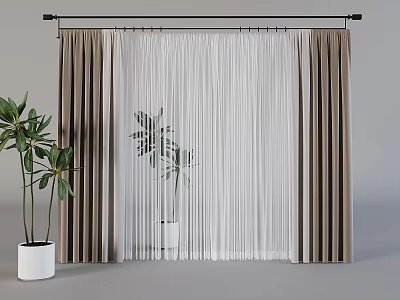 Modern Brown And White Sheer Curtains With Potted Plants In Modern Interior 3d model