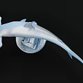 Detailed Hammerhead Shark Model With Wave Textured Base On Black Background 3d model
