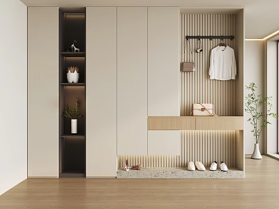 Modern Minimalist Shoe Cabinet Interior Design With Hanger Hanging Shirt And Storage Drawers 3d model