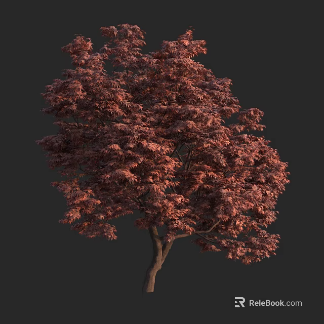 Lush Arbor With Vibrant Red Leaves And Brown Trunk In Dark Background 3d model 