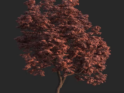 Lush Arbor With Vibrant Red Leaves And Brown Trunk In Dark Background 3d model