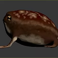 Fat Red Spotted Frog With Short Limbs And Round Body On Dark Background 3d model