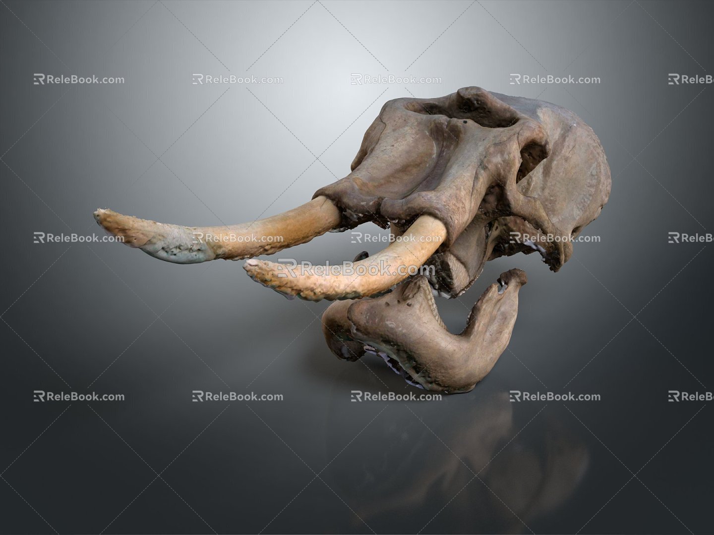 Modern mammoth Ancient elephant Ancient elephant Mammoth 3d model