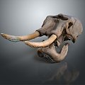 Modern mammoth Ancient elephant Ancient elephant Mammoth 3d model