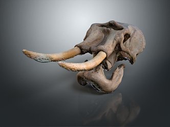 Modern mammoth Ancient elephant Ancient elephant Mammoth 3d model