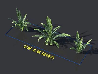 Lush Green Sword Fern Flowers And Plants With Natural Leaves And Decorative 3d model