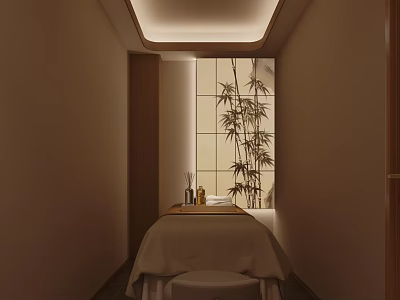 Beauty Salon Spa Treatment Room With Massage Table Bamboo Decor And Essential Oils 3d model