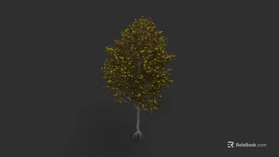Lush Green Arbor With Dense Foliage Strong Trunk And Exposed Roots On Dark Background 3d model 