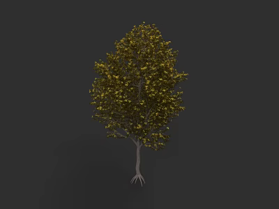 Lush Green Arbor With Dense Foliage Strong Trunk And Exposed Roots On Dark Background 3d model