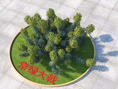 Modern Evergreen Euphorbia 3d model