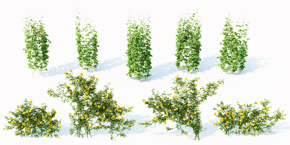 Various Garden Shrubs With Green Foliage And Yellow Flowers 3d model 