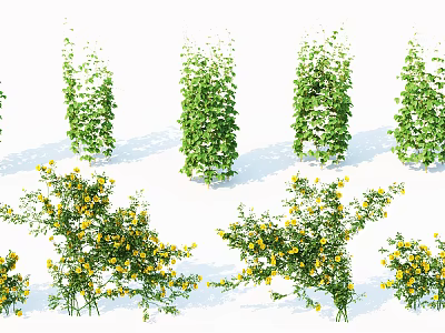 Various Garden Shrubs With Green Foliage And Yellow Flowers 3d model