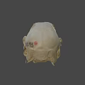 Detailed Animal Skull Anatomical Model With Visible Bone Structure On Dark Background