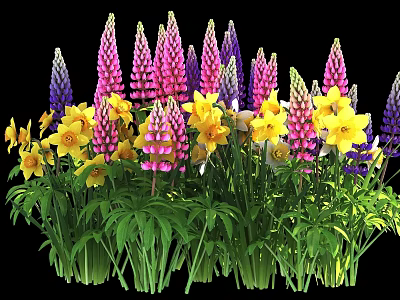 Colorful Garden Flowers Featuring Pink Purple Lupines and Yellow Daffodils with Green Leaves 3d model