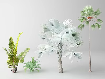 Different Types of Tropical Trees Featuring Green Ferns Silver Palm and Tall Trunk 3d model