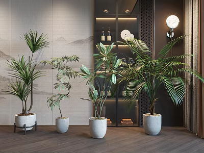 Indoor Modern Interior With Multiple Potted Plants In White Pots And Decorative Shelves 3d model