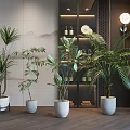 Indoor Modern Interior With Multiple Potted Plants In White Pots And Decorative Shelves