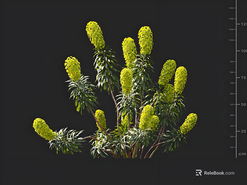 Beautiful Vibrant Green Plants With Yellow Flower Spikes And Fresh Green Leaves 3d model 