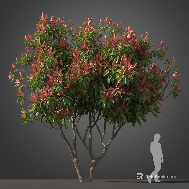 Lush Arbor With Vibrant Red And Green Leaves And Human Silhouette For Scale 3d model 