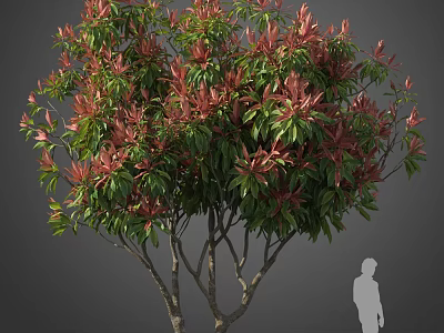 Lush Arbor With Vibrant Red And Green Leaves And Human Silhouette For Scale 3d model