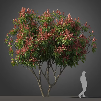 Lush Arbor With Vibrant Red And Green Leaves And Human Silhouette For Scale 3d model