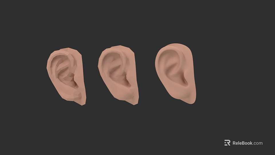 Three Human Ear 3D Models in Light Brown on Dark Background 3d model