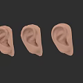 Three Human Ear 3D Models in Light Brown on Dark Background 3d model