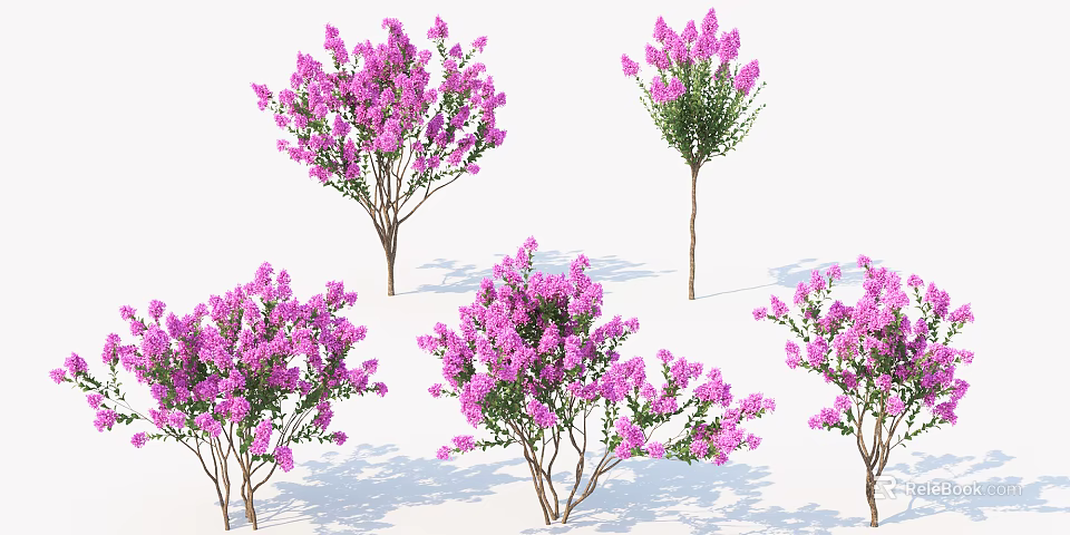 Different Types of Purple Flowering Trees with Lush Blooms for Garden Landscaping 3d model 