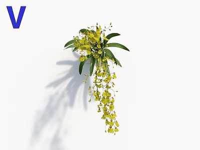 Fresh Yellow Flowers With Green Leaves Hanging Against White Background 3d model