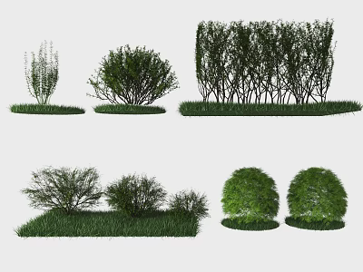 Different Types of Garden Bushes with Various Shapes and Green Foliage 3d model