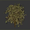 Lush Decorative Tree With Golden Leaves And Vibrant Yellow Foliage For Indoor Decoration