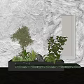 Indoor Plant Combination Against Gray Textured And Beige Walls With Mirror And Marble Countertop Planter